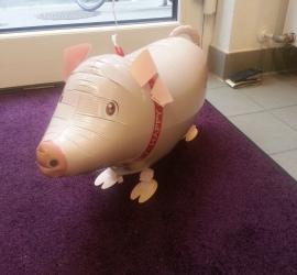 Airwalker Schweinchen