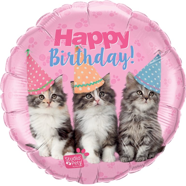 Happy Birthday! wünschen drei süße Katenbabys auf einem Folienballon 45 cm - für alle, die Katzen lieben!