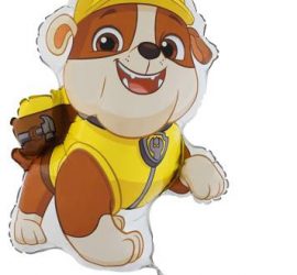 Paw Patrol Rubble